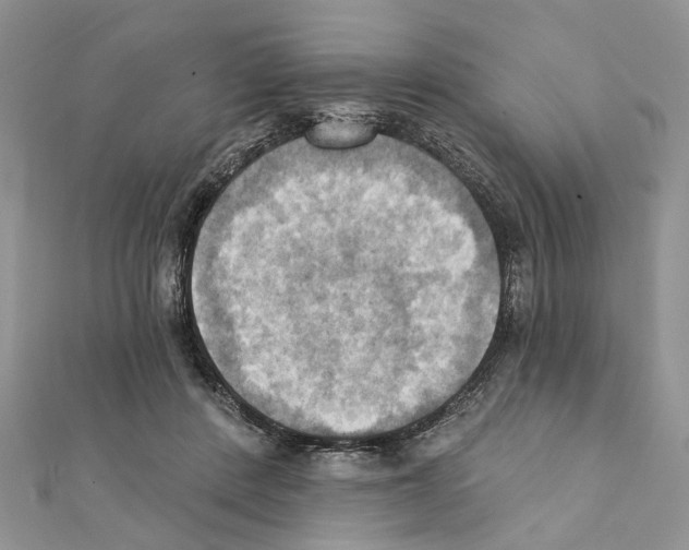 X0000111360408200908211301