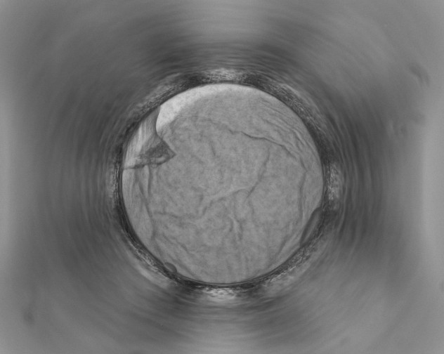 X0000111360409200908211301