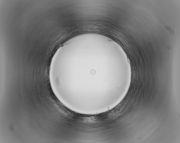X0000111360411200908211301