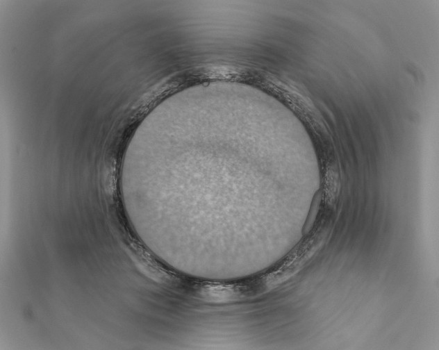 X0000111360413200908211301