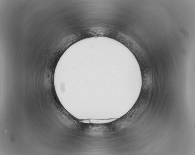 X0000111360414200908211301