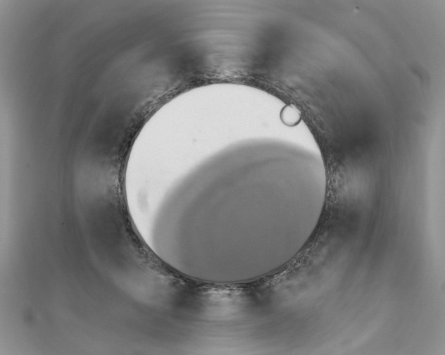 X0000111360415200908211301