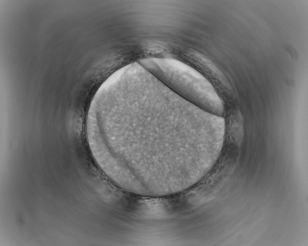 X0000111360417200908211301