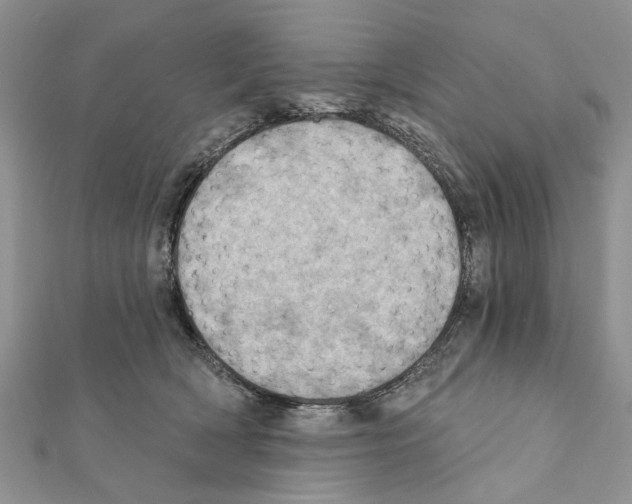 X0000111360418200908211301