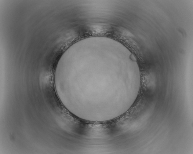 X0000111360419200908211301