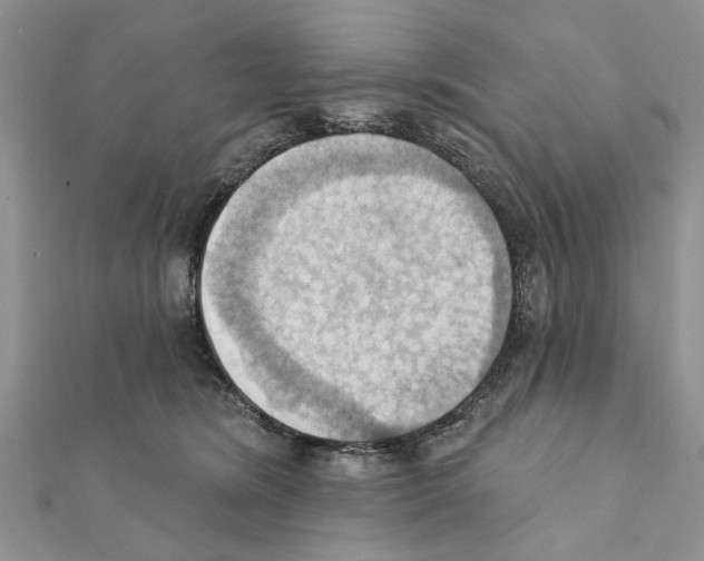 X0000111360420200908211301