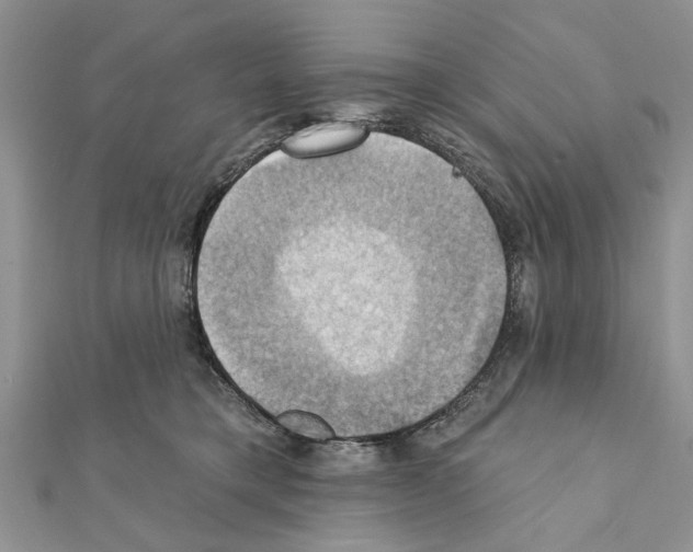 X0000111360421200908211301