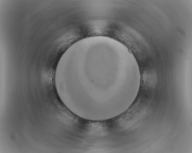 X0000111360423200908211301