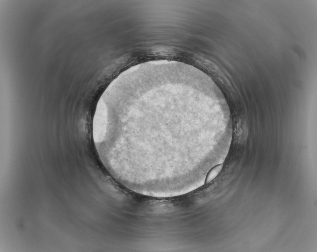 X0000111360424200908211301