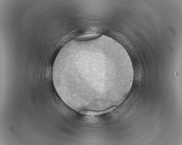 X0000111360425200908211301