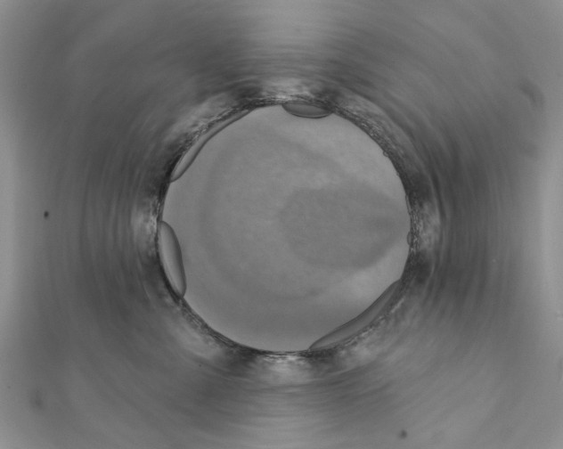 X0000111360427200908211301