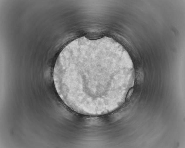 X0000111360428200908211301