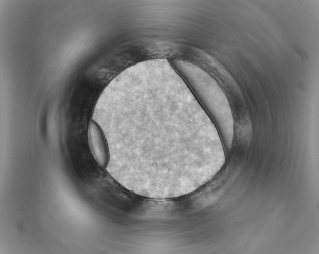 X0000111360429200908211301