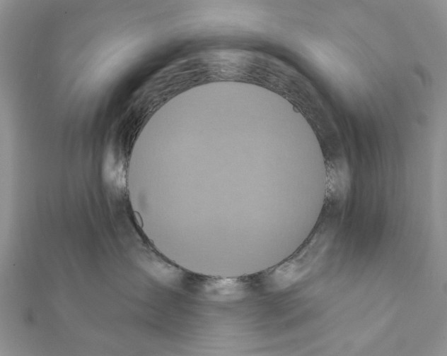 X0000111360431200908211301