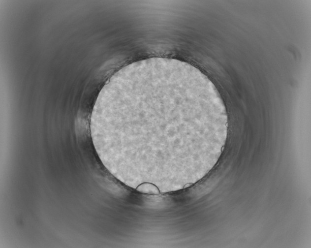 X0000111360432200908211301