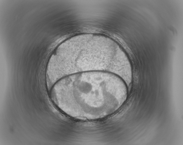 X0000111360433200908211300