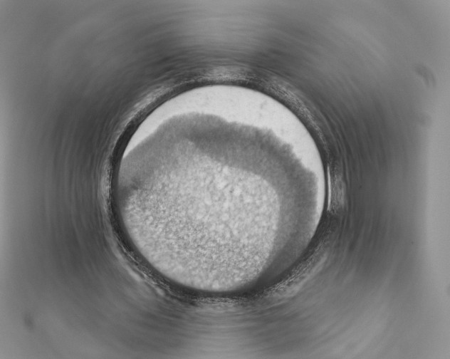 X0000111360435200908211300