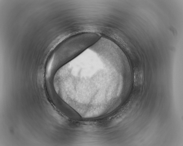 X0000111360436200908211300
