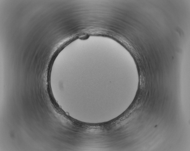 X0000111360438200908211300