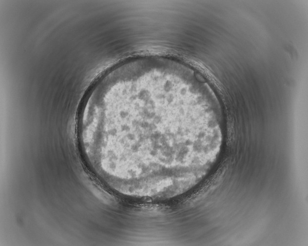 X0000111360439200908211300