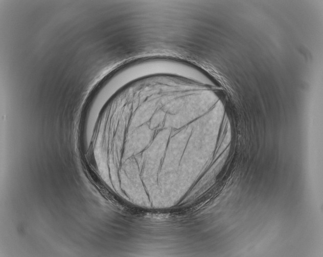 X0000111360440200908211300