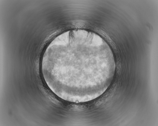 X0000111360442200908211300