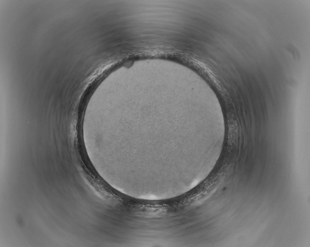 X0000111360443200908211300
