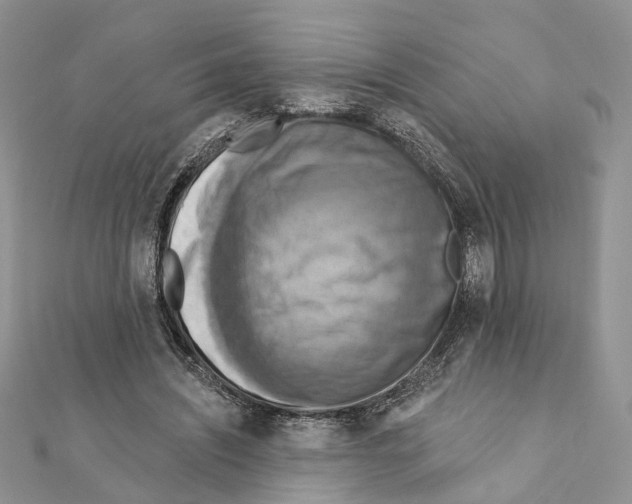 X0000111360444200908211300