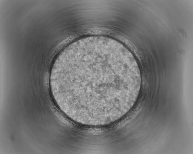 X0000111360445200908211300