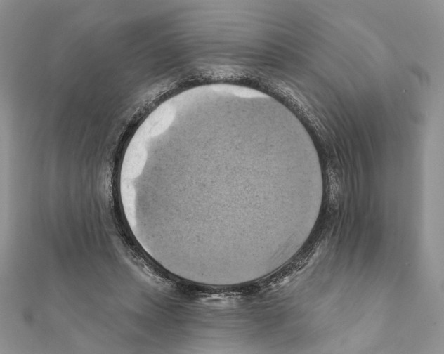 X0000111360447200908211300