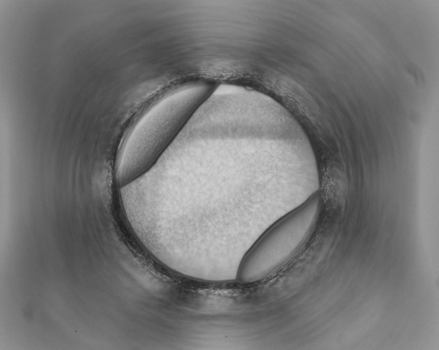 X0000111360448200908211300