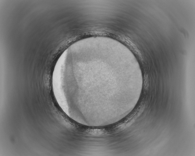 X0000111360449200908211300