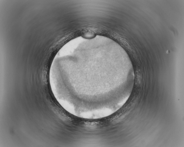 X0000111360450200908211300