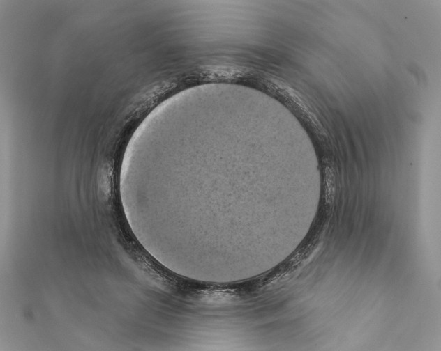 X0000111360451200908211300
