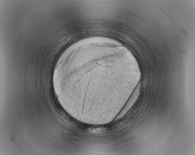 X0000111360452200908211300