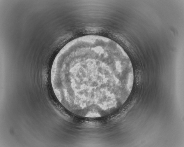 X0000111360455200908211300