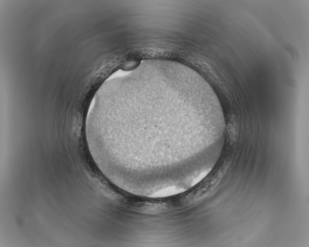 X0000111360458200908211300