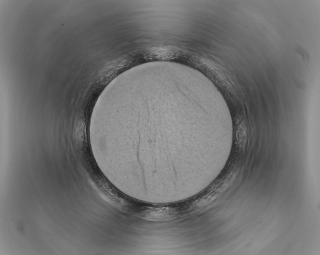 X0000111360459200908211300