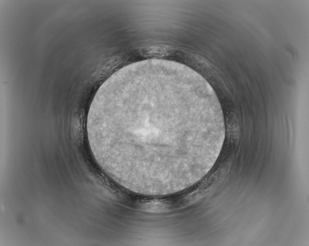 X0000111360460200908211300