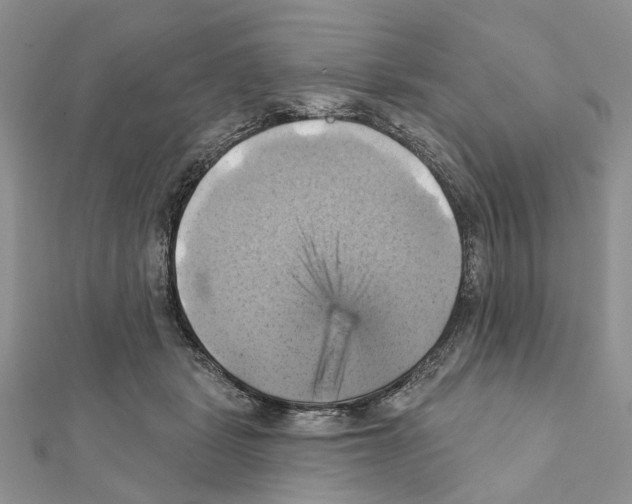 X0000111360461200908211300