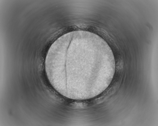 X0000111360464200908211300