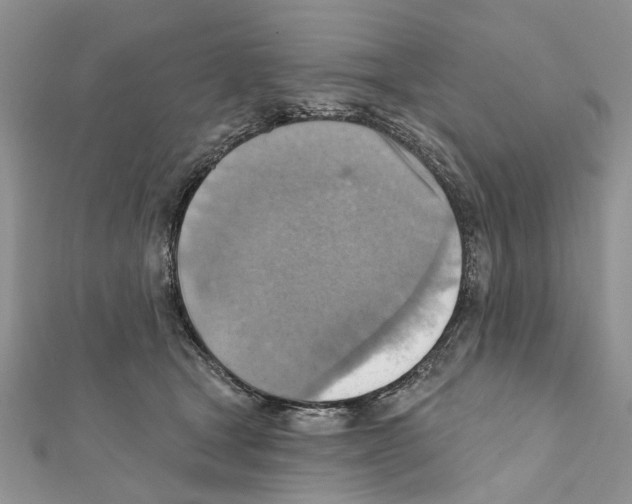 X0000111360465200908211300