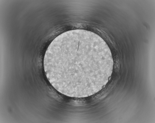 X0000111360466200908211300