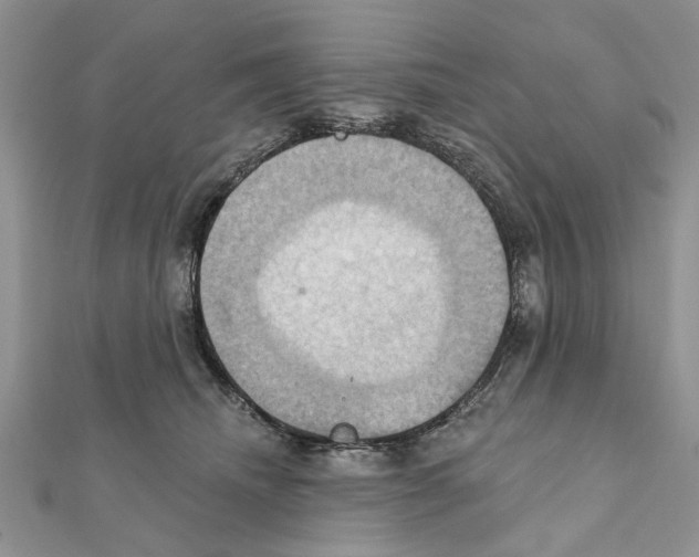 X0000111360468200908211300