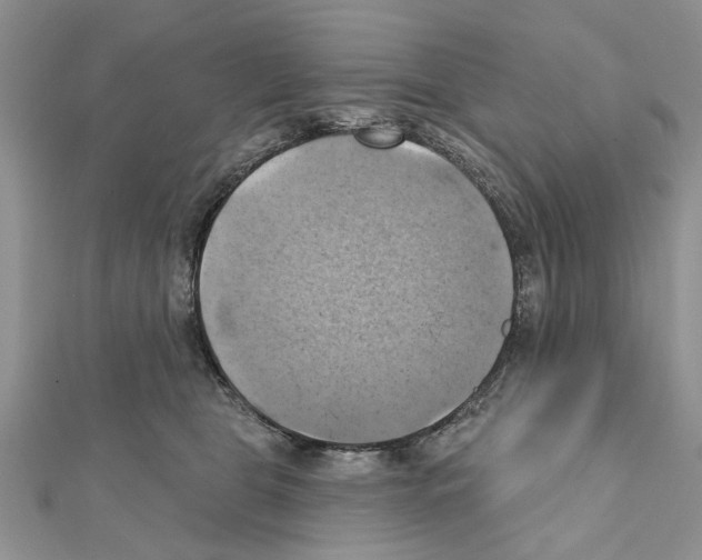 X0000111360469200908211300