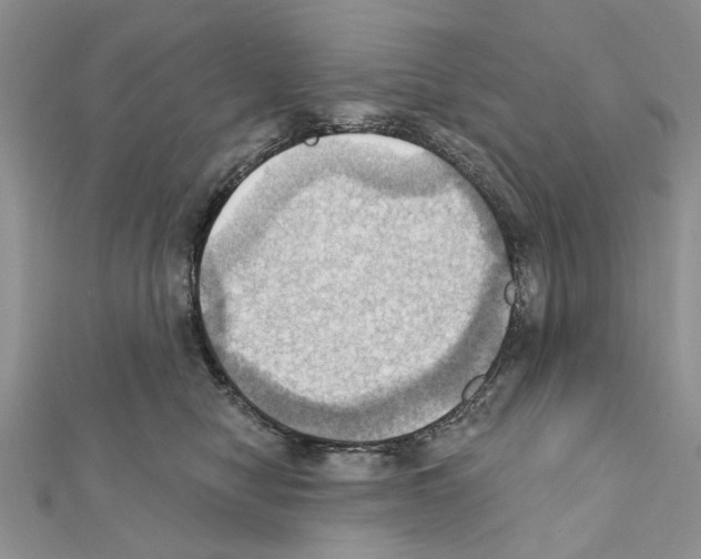 X0000111360470200908211300