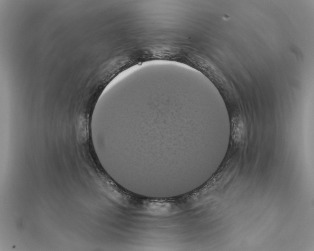 X0000111360471200908211300