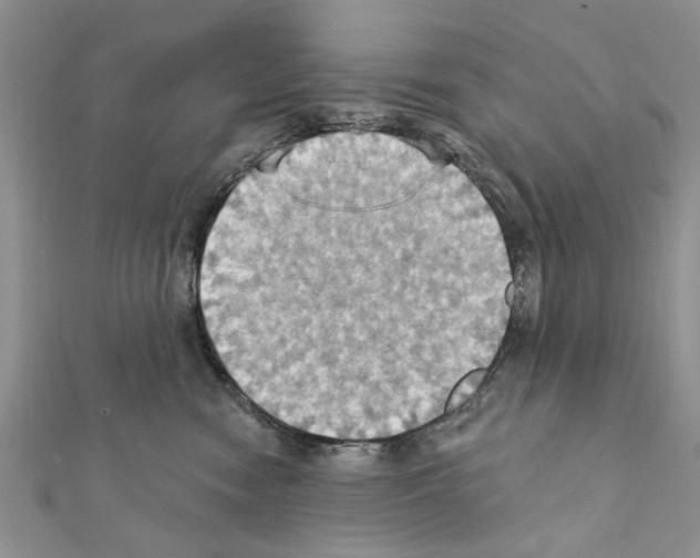 X0000111360474200908211300
