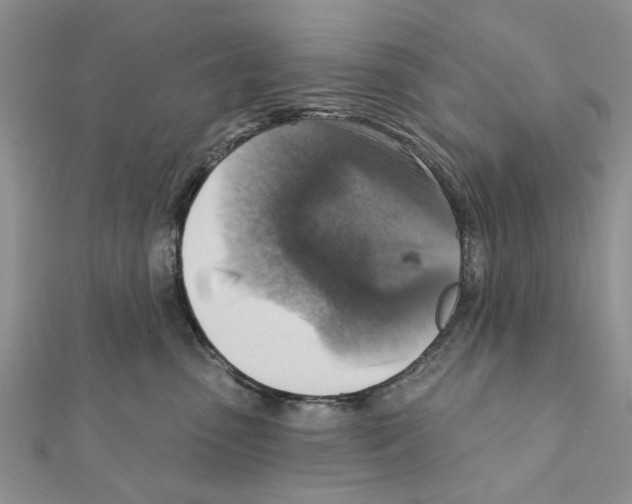 X0000111360475200908211301