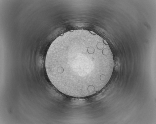 X0000111360476200908211301